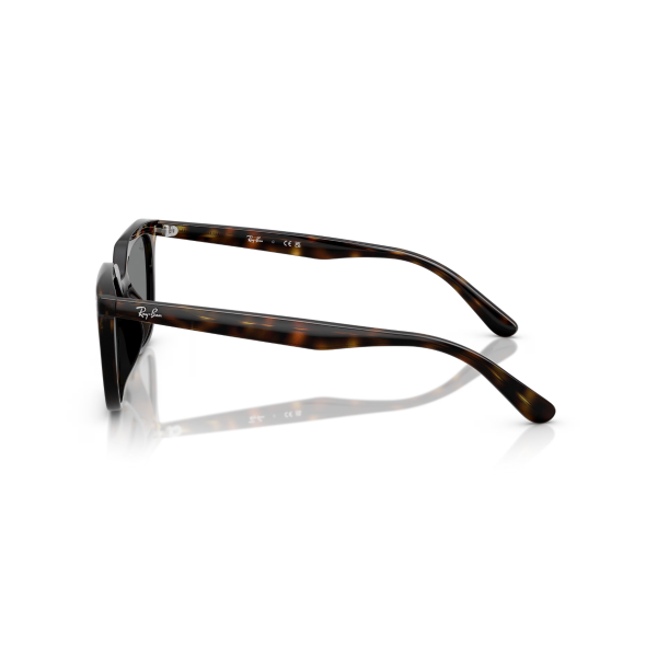 RB 4439D 710/87 54 Ray-Ban Güneş Gözlüğü