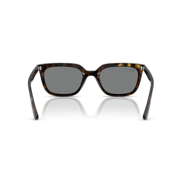 RB 4439D 710/87 54 Ray-Ban Güneş Gözlüğü