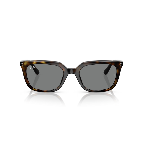 RB 4439D 710/87 54 Ray-Ban Güneş Gözlüğü