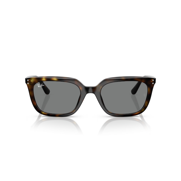 RB 4439D 710/87 54 Ray-Ban Güneş Gözlüğü