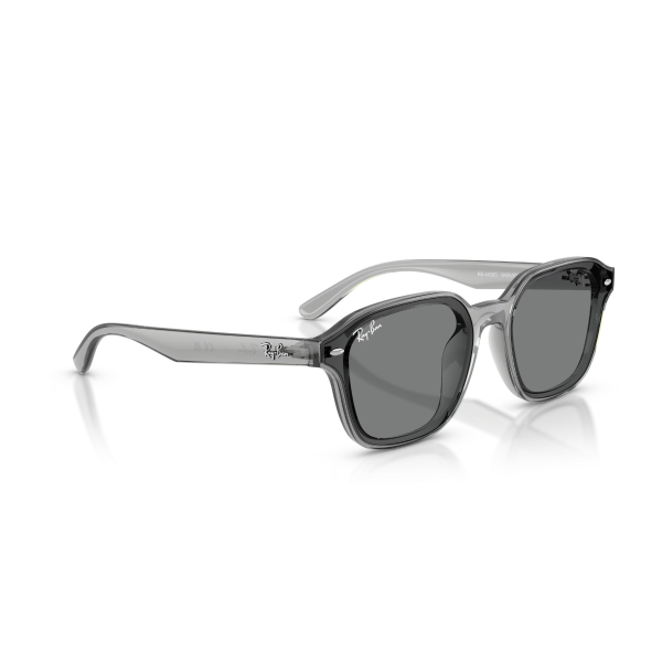 RB 4458D 645087 65 Ray-Ban Güneş Gözlüğü