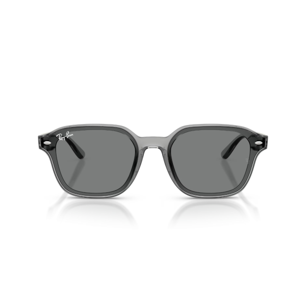 RB 4458D 645087 65 Ray-Ban Güneş Gözlüğü