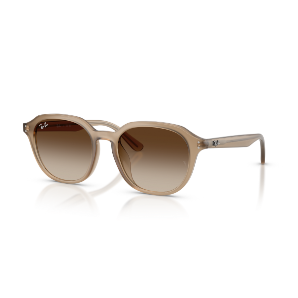 RB 4459D 616613 54 Ray-Ban Güneş Gözlüğü