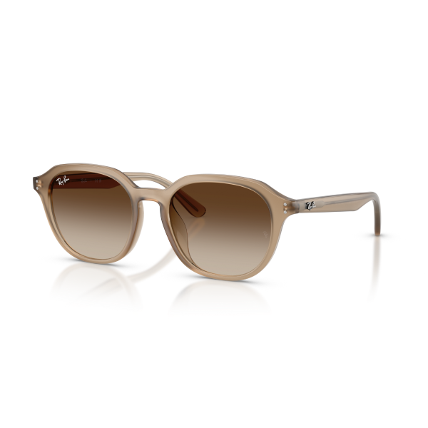 RB 4459D 616613 54 Ray-Ban Güneş Gözlüğü