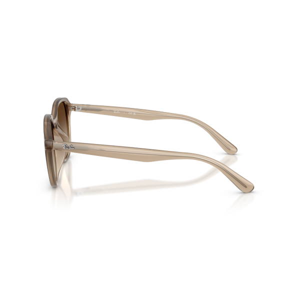 RB 4459D 616613 54 Ray-Ban Güneş Gözlüğü