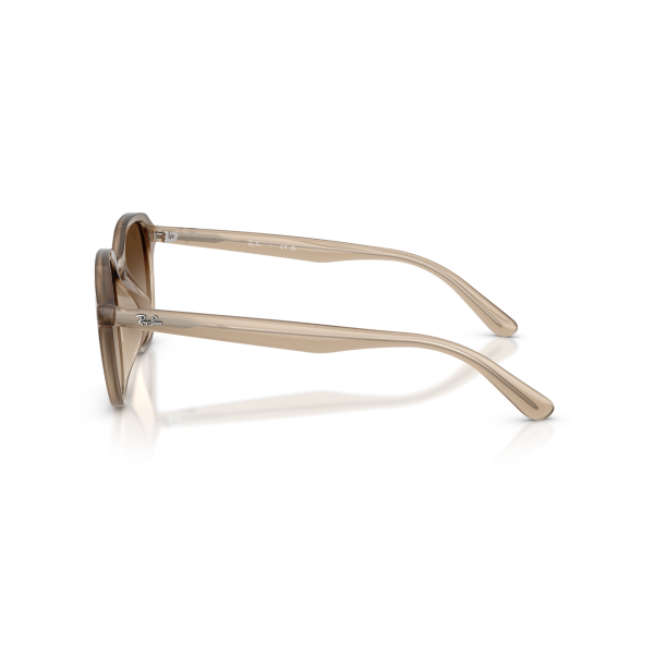 RB 4459D 616613 54 Ray-Ban Güneş Gözlüğü