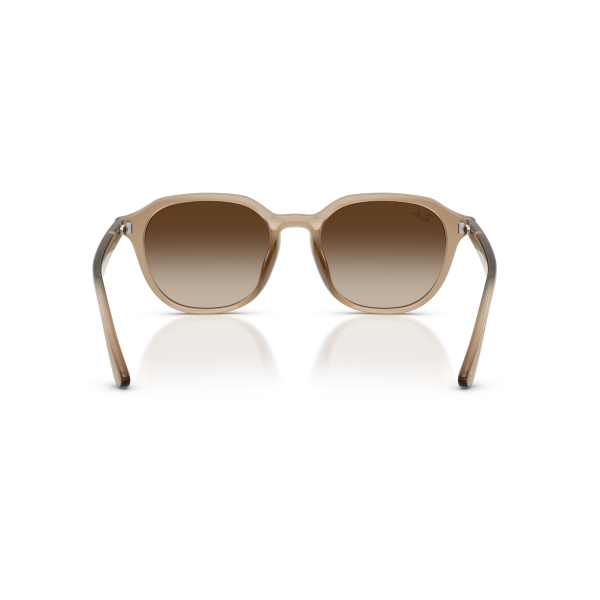RB 4459D 616613 54 Ray-Ban Güneş Gözlüğü