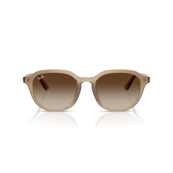 RB 4459D 616613 54 Ray-Ban Güneş Gözlüğü