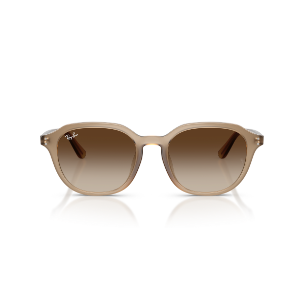 RB 4459D 616613 54 Ray-Ban Güneş Gözlüğü