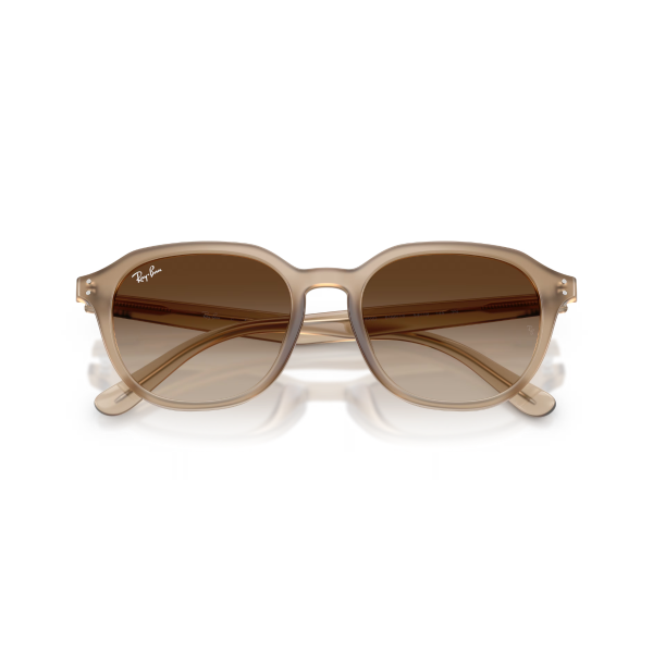 RB 4459D 616613 54 Ray-Ban Güneş Gözlüğü