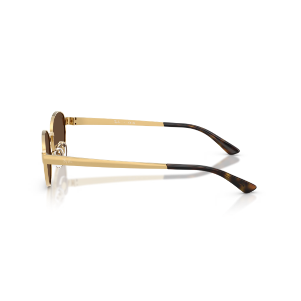 RB 3774D 001/73 55 Ray-Ban Güneş Gözlüğü