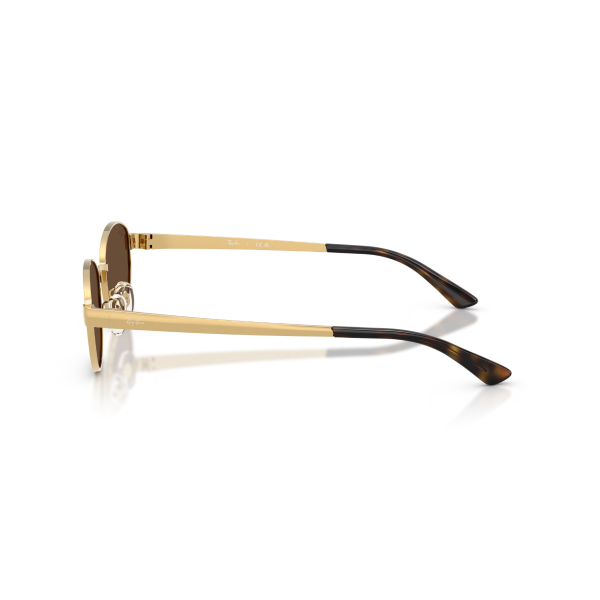 RB 3774D 001/73 55 Ray-Ban Güneş Gözlüğü