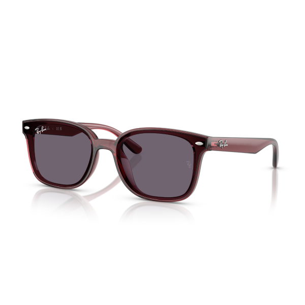 RB 4461D 659373 64 Ray-Ban Güneş Gözlüğü
