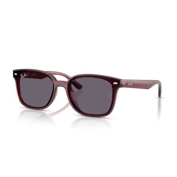 RB 4461D 659373 64 Ray-Ban Güneş Gözlüğü