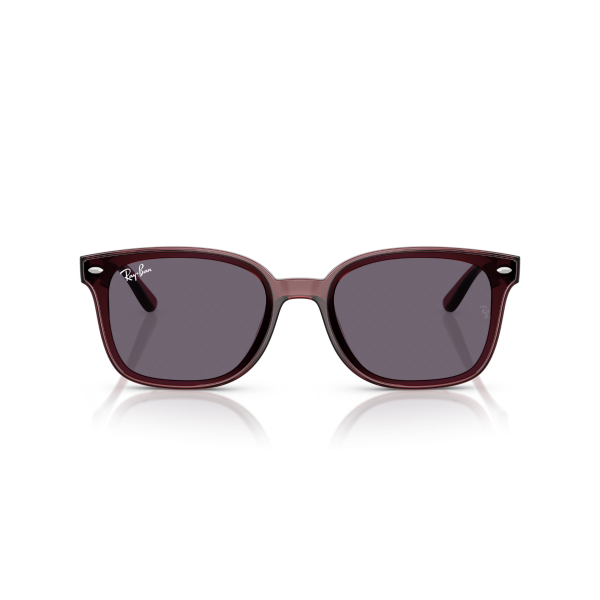 RB 4461D 659373 64 Ray-Ban Güneş Gözlüğü