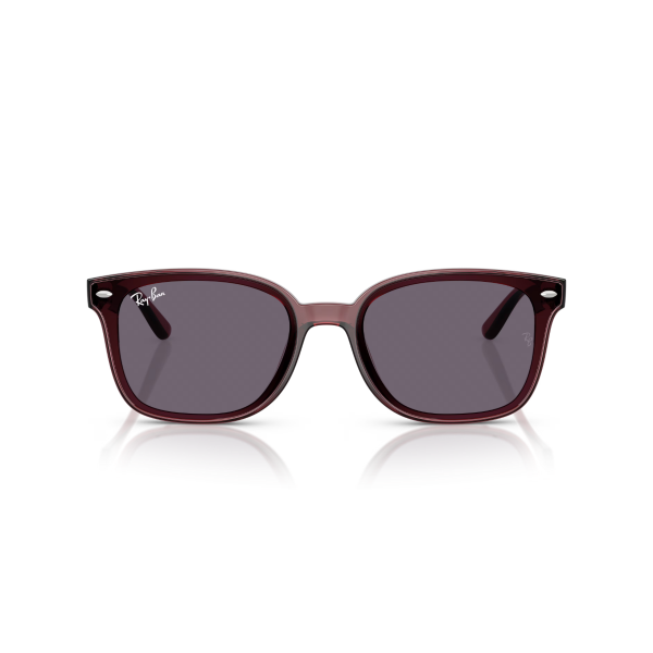 RB 4461D 710/13 64 Ray-Ban Güneş Gözlüğü