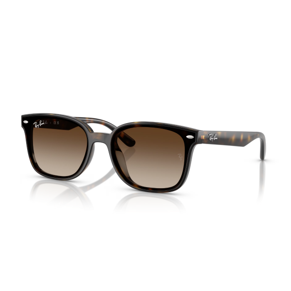 RB 4461D 710/13 64 Ray-Ban Güneş Gözlüğü