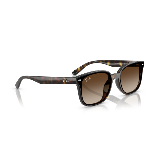 RB 4461D 710/13 64 Ray-Ban Güneş Gözlüğü