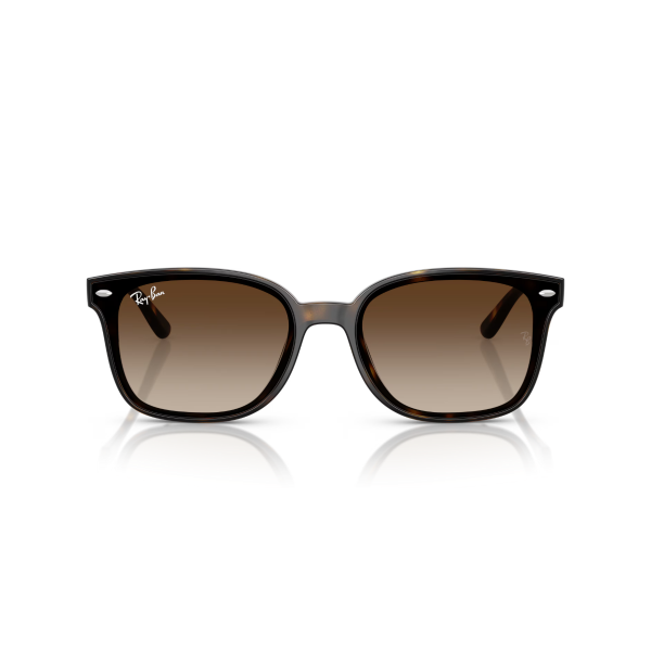 RB 4461D 710/13 64 Ray-Ban Güneş Gözlüğü