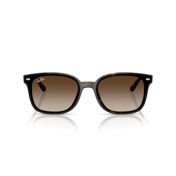 RB 4461D 710/13 64 Ray-Ban Güneş Gözlüğü