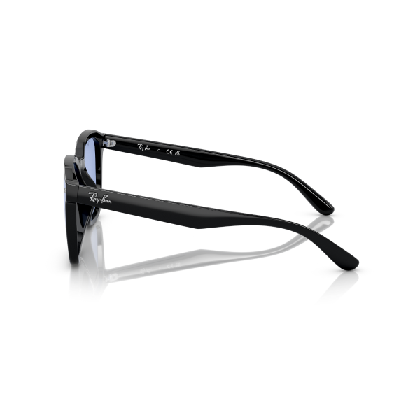 RB 4392D 601/80 66 Ray-Ban Güneş Gözlüğü