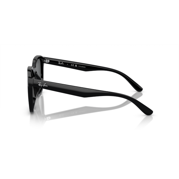 RB 4392D 601/81 66 Ray-Ban Polarize Güneş Gözlüğü