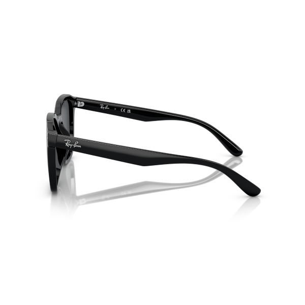 RB 4392D 601/87 66 Ray-Ban Güneş Gözlüğü