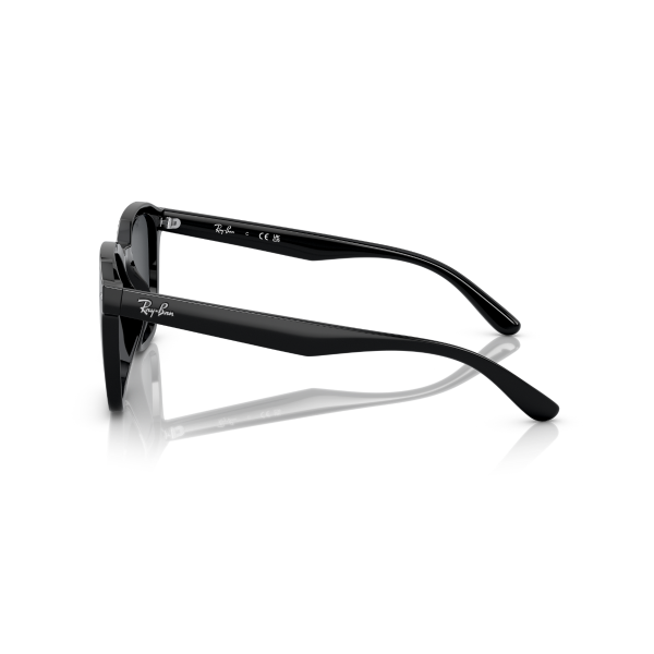 RB 4392D 601/87 66 Ray-Ban Güneş Gözlüğü