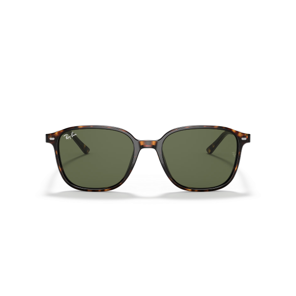 RB 2193 902/31 53 Ray-Ban LEONARD Güneş Gözlüğü