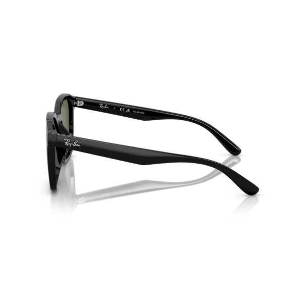 RB 4392D 601/9A 66 Ray-Ban Polarize Güneş Gözlüğü