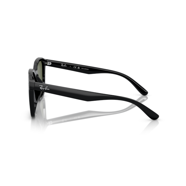 RB 4392D 601/9A 66 Ray-Ban Polarize Güneş Gözlüğü