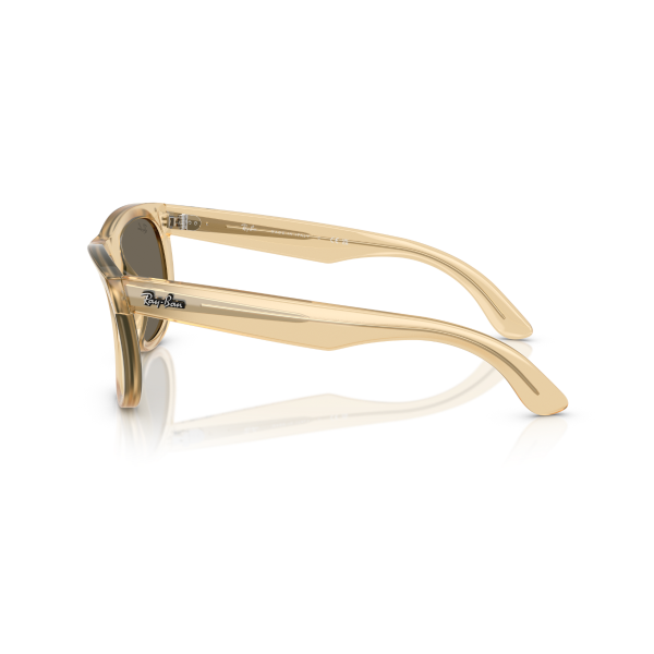 RB R0502S 68215A 50 Ray-Ban WAYFARER REVERSE Güneş Gözlüğü