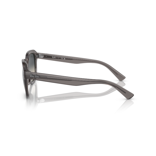 RB 4398 667571 51 Ray-Ban ERIK Güneş Gözlüğü