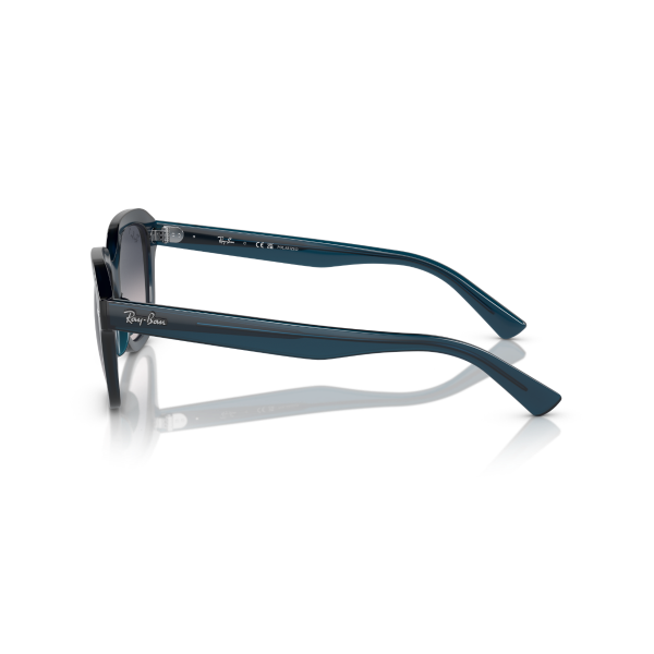 RB 4398 667678 51 Ray-Ban ERIK Polarize Güneş Gözlüğü