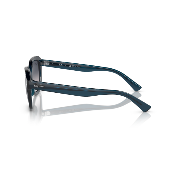 RB 4398 667678 51 Ray-Ban ERIK Polarize Güneş Gözlüğü