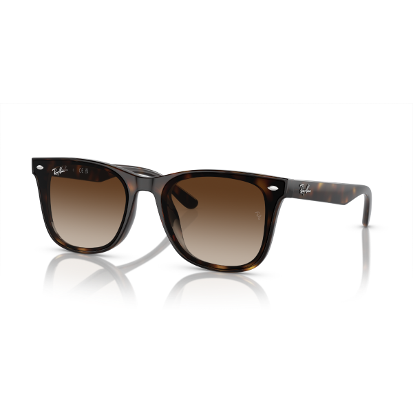 RB 4420 710/13 65 Ray-Ban Güneş Gözlüğü