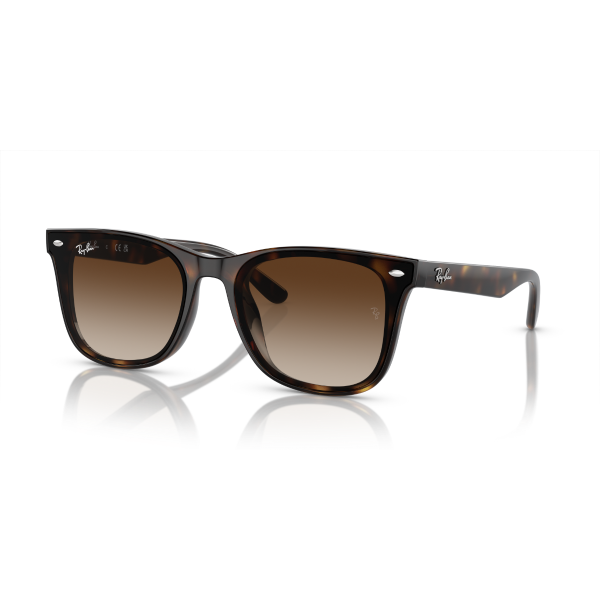 RB 4420 710/13 65 Ray-Ban Güneş Gözlüğü