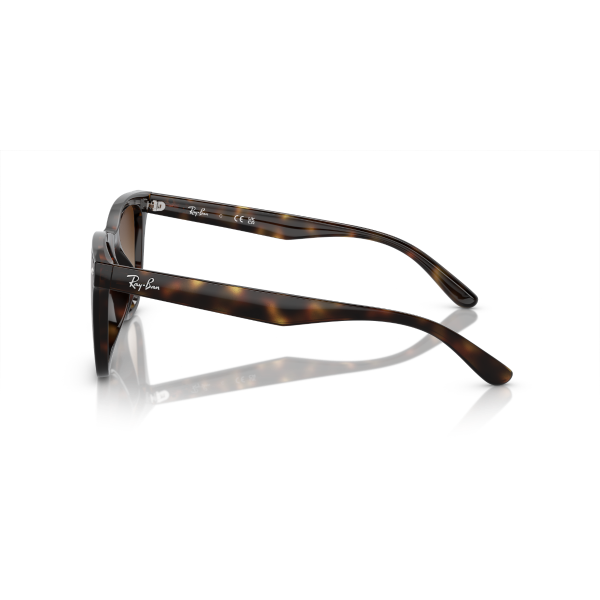 RB 4420 710/13 65 Ray-Ban Güneş Gözlüğü