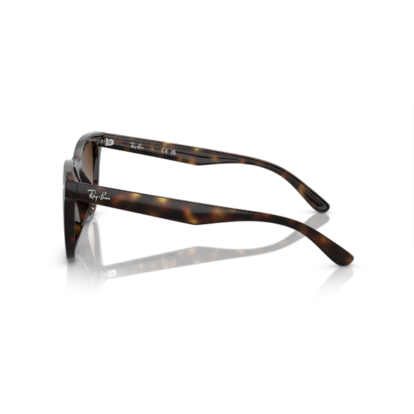 RB 4420 710/13 65 Ray-Ban Güneş Gözlüğü