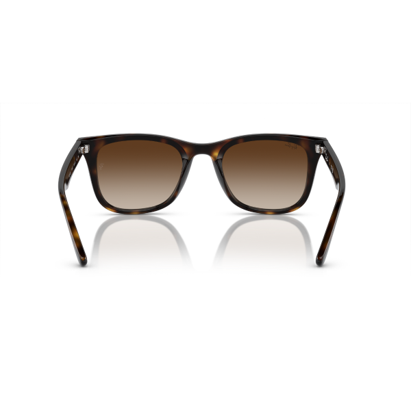 RB 4420 710/13 65 Ray-Ban Güneş Gözlüğü