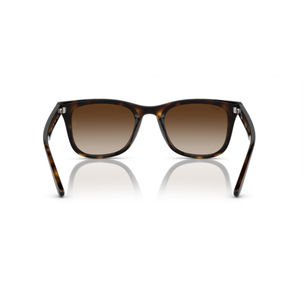 RB 4420 710/13 65 Ray-Ban Güneş Gözlüğü