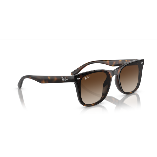 RB 4420 710/13 65 Ray-Ban Güneş Gözlüğü