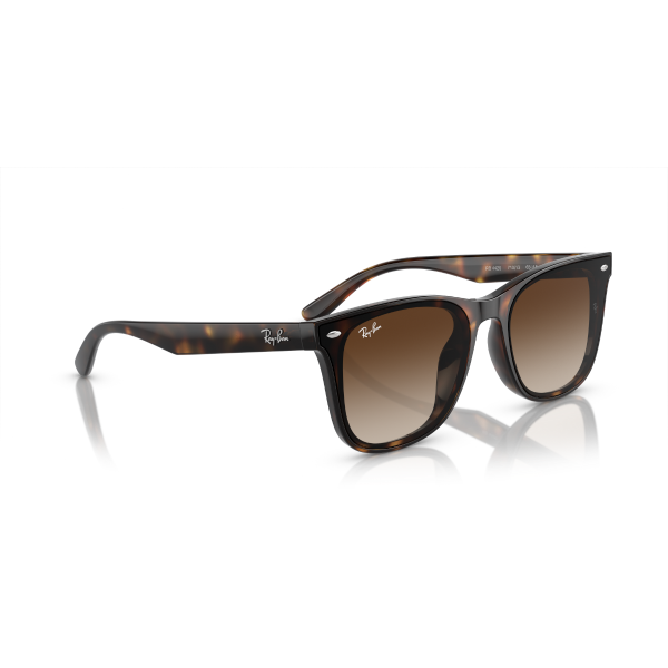 RB 4420 710/13 65 Ray-Ban Güneş Gözlüğü