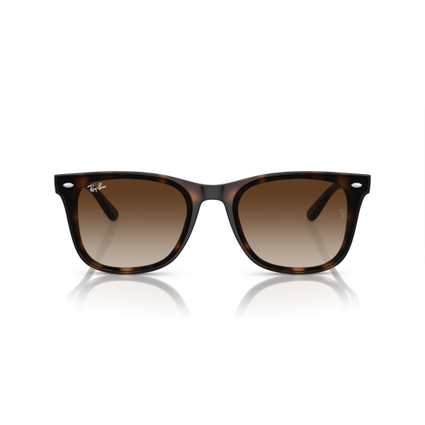 RB 4420 710/13 65 Ray-Ban Güneş Gözlüğü