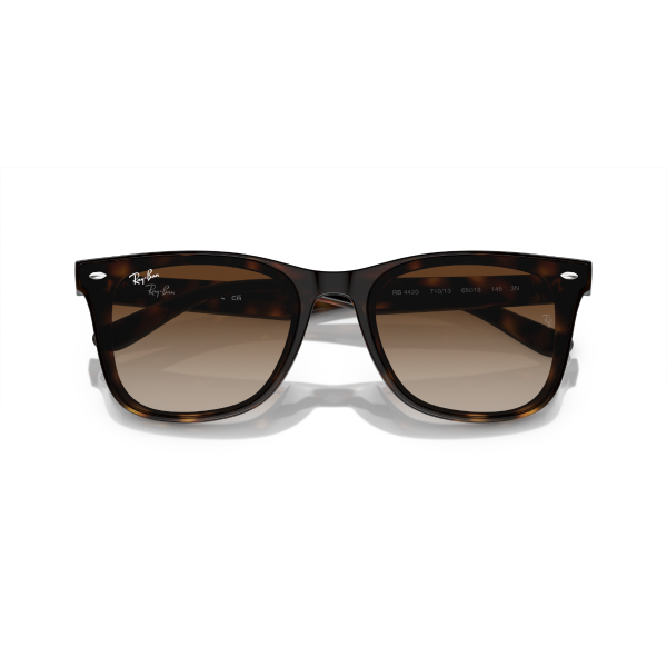RB 4420 710/13 65 Ray-Ban Güneş Gözlüğü