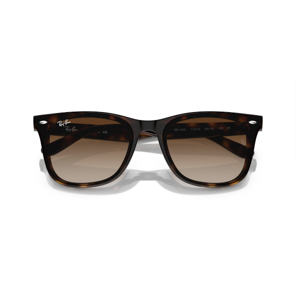 RB 4420 710/13 65 Ray-Ban Güneş Gözlüğü