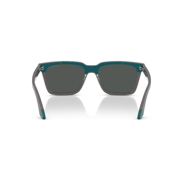 EA 4260 631487 55 Emporio Armani Güneş Gözlüğü