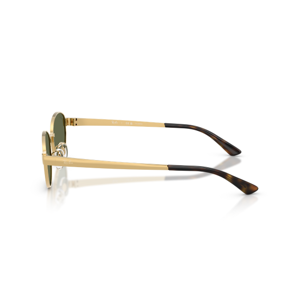 RB 3774D 001/9A 55 Ray-Ban Güneş Polarize Gözlüğü