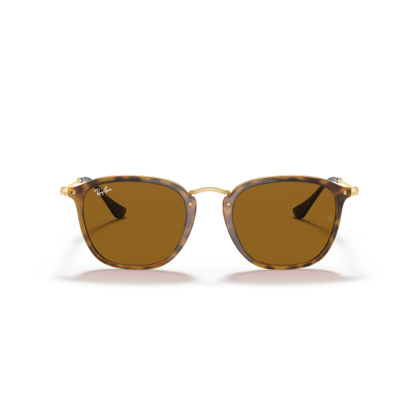 RB 2448N 710 51 Ray-Ban Güneş Gözlüğü