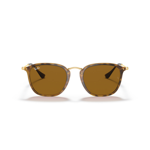 RB 2448N 710 51 Ray-Ban Güneş Gözlüğü